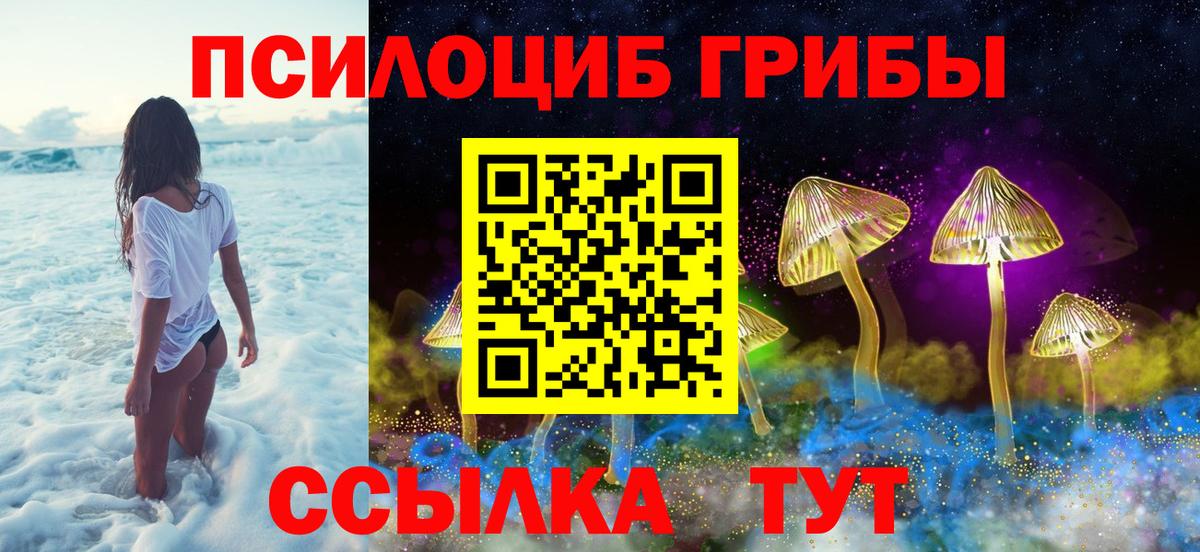 купить наркотик  Галлюциногенные грибы прущие грибы  Вход с VPN  Краснокаменск 
